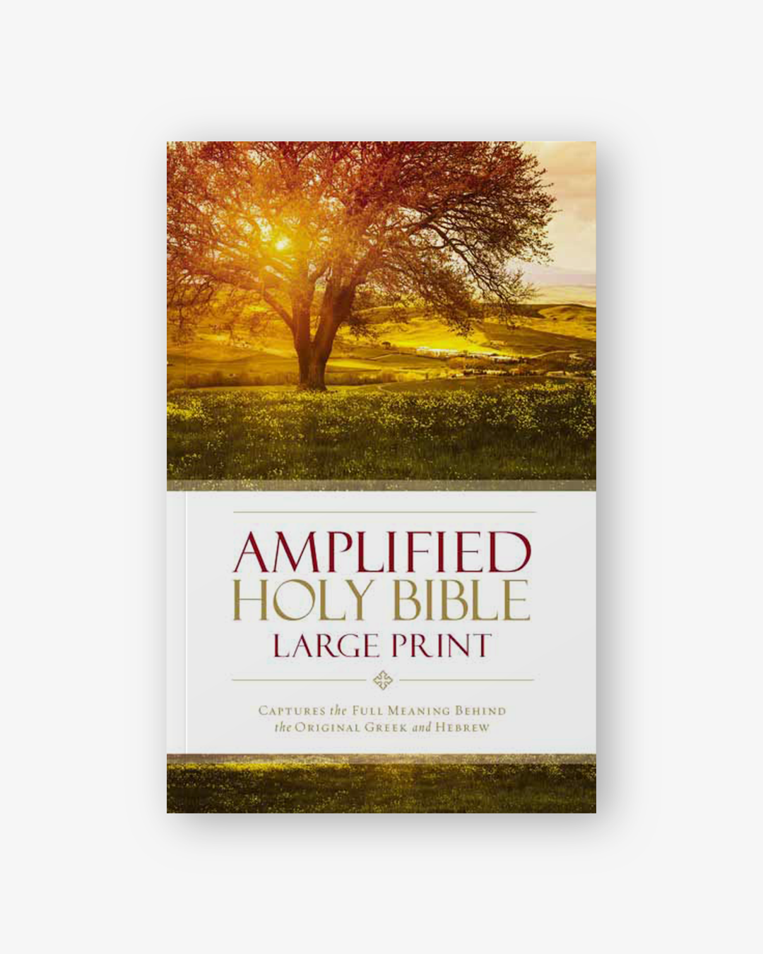 Amplified Holy Bible - Large print